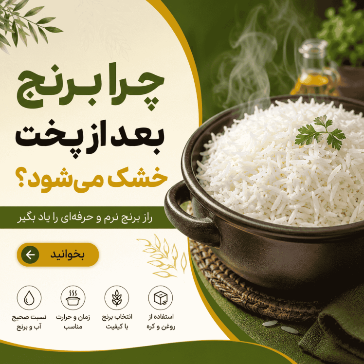 چرا برنج بعد از پخت خشک میشود؟ (بررسی کامل + راهحل قطعی)