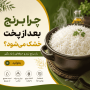 چرا برنج بعد از پخت خشک می‌شود؟ (بررسی کامل + راه‌حل قطعی)